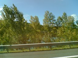 bild064