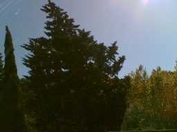 bild068