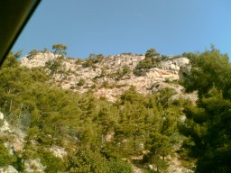 bild081