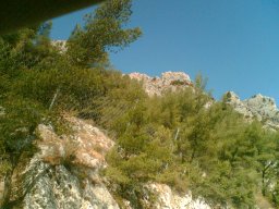 bild082