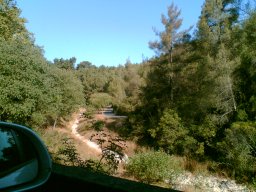 bild083