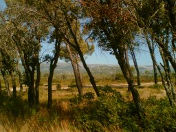 bild086