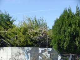 p9050384