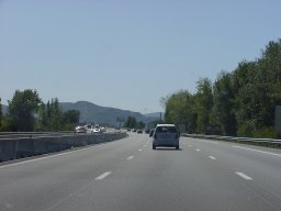 p9050386