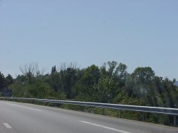 p9050387