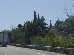p9050388