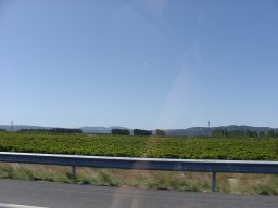 p9050389