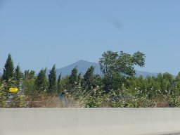 p9050393