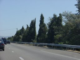p9050394