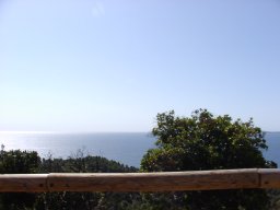 p9070421