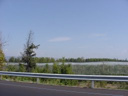 p9120526