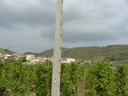 p9120544