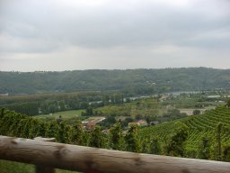 p9120559