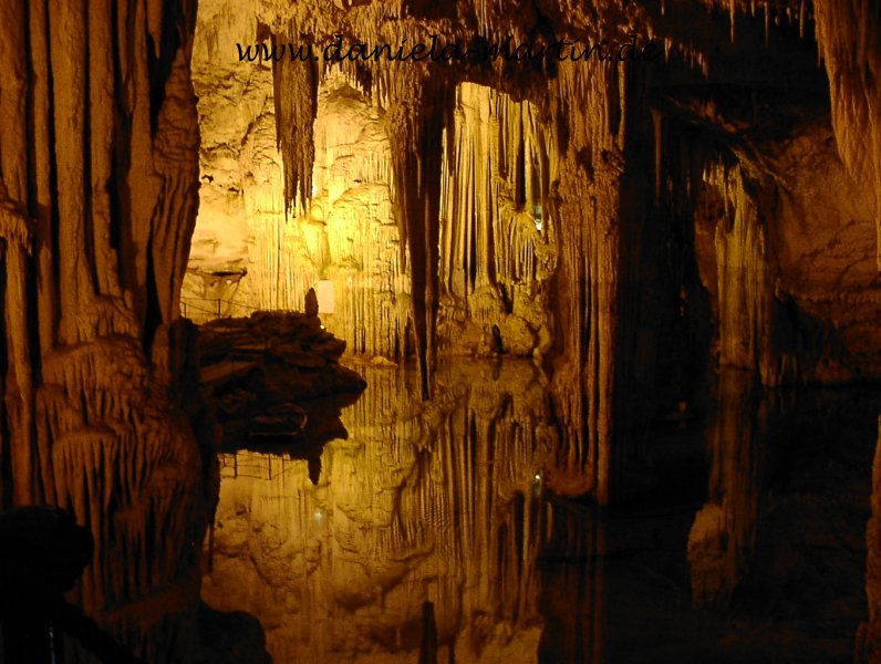 phoca thumb l bild 165