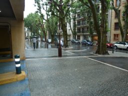 P1020127