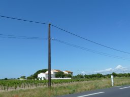 P1020138