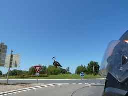 P1020141