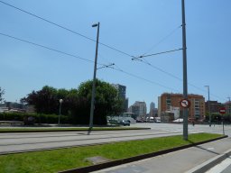 P1020231