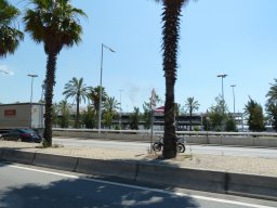 P1020241