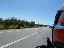 P1020264
