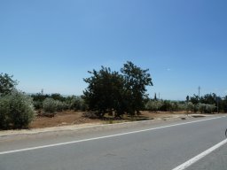 P1020266