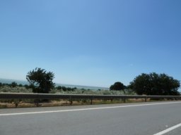 P1020267