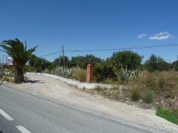 P1020272
