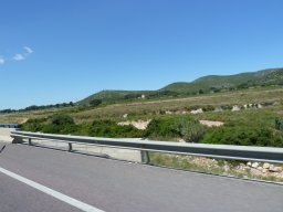 P1020277