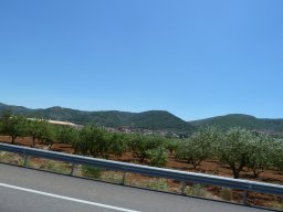 P1020278