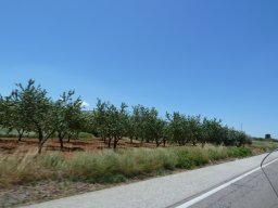 P1020280