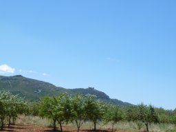 P1020281