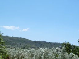P1020285