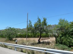 P1020296