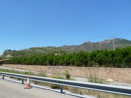 P1020297