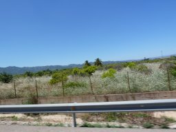 P1020299