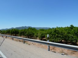 P1020301