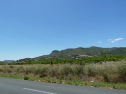 P1020303