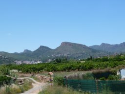 P1020304