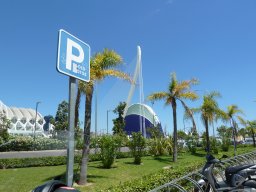 P1020306