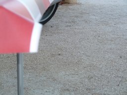 P1020346