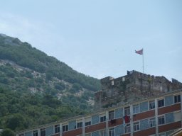P1020375