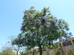 P1020408