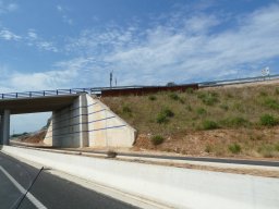 P1020495