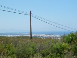 P1020515