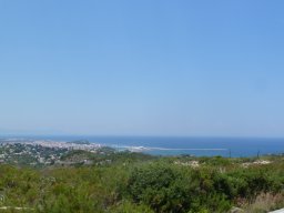P1020519