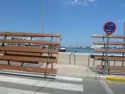 P1020533