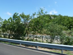 P1020557