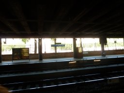 P1020606