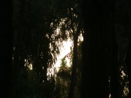 IMG_0007