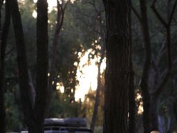 IMG_0008